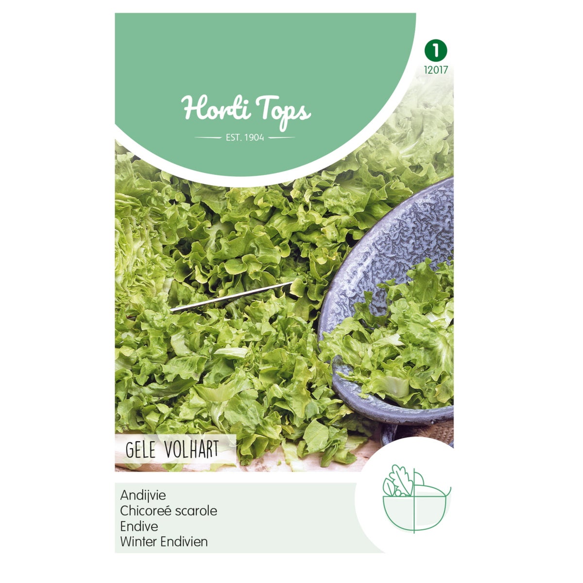 Andijvie Gele Volhart Andijvie Gele Volhart