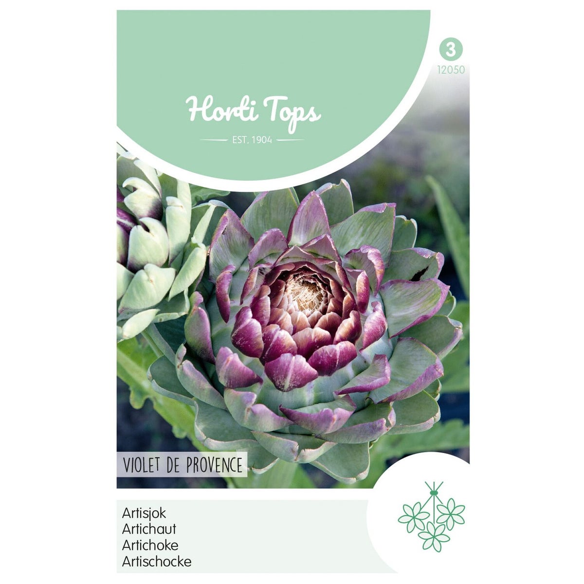 Artisjok Violet De Provence Artisjok Violet De Provence