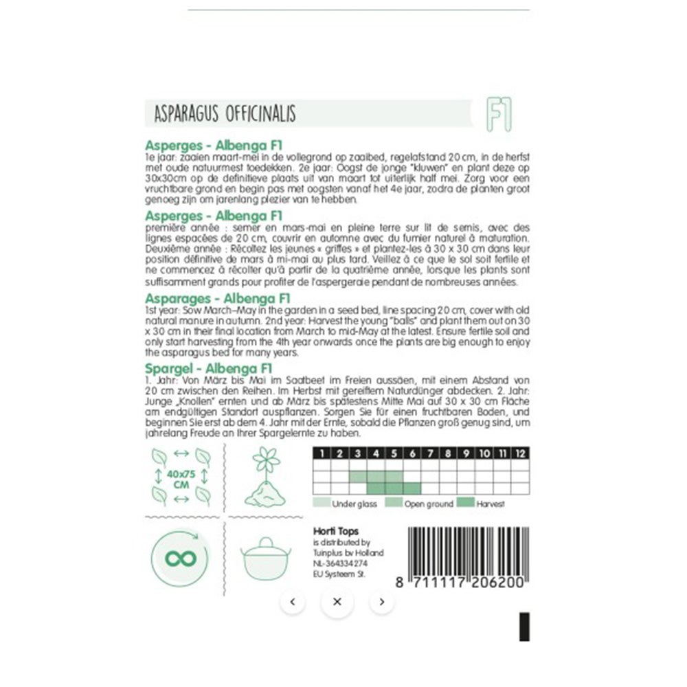 Paarse asperge Albenga Paarse asperge Albenga