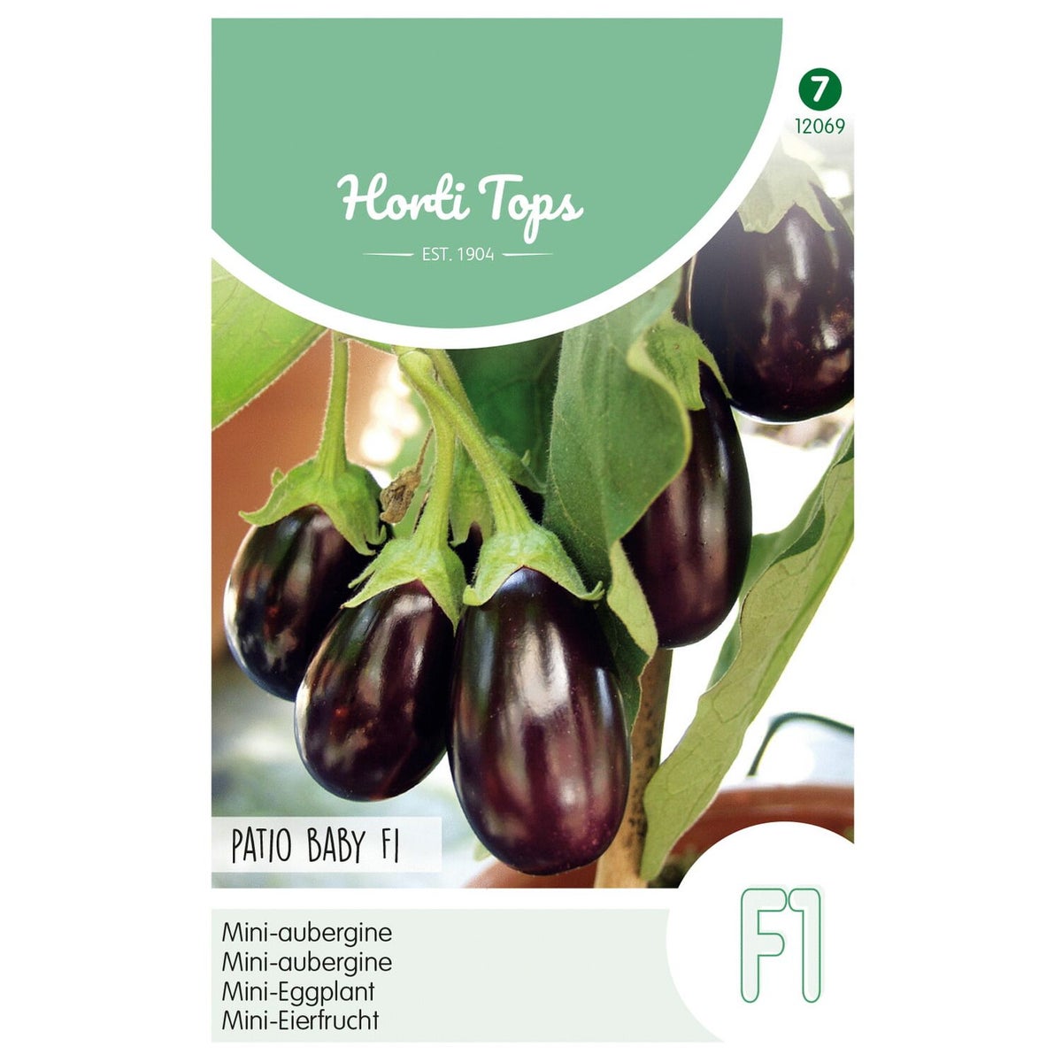 Aubergine patio baby Aubergine patio baby