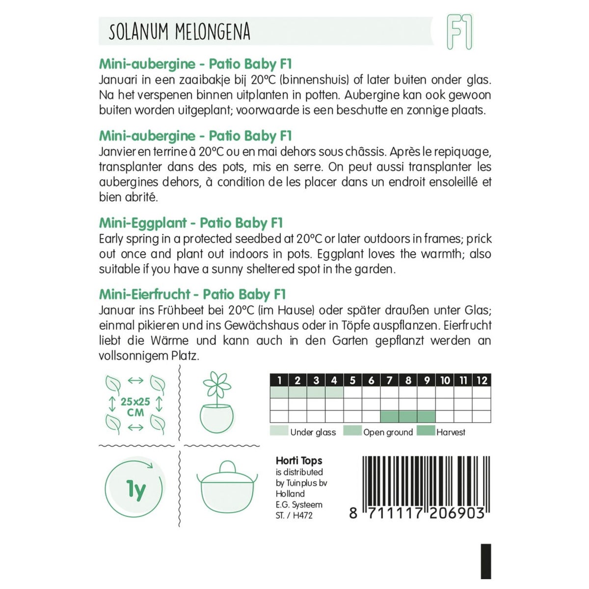 Aubergine patio baby Aubergine patio baby