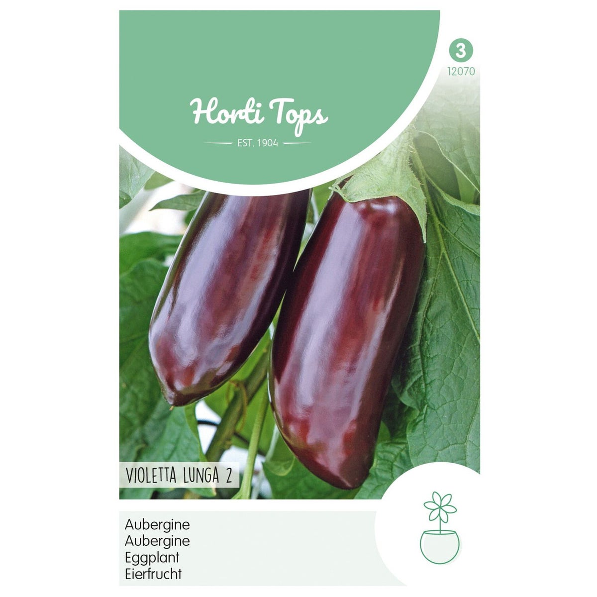 Aubergine violetta lunga 2 Aubergine violetta lunga 2