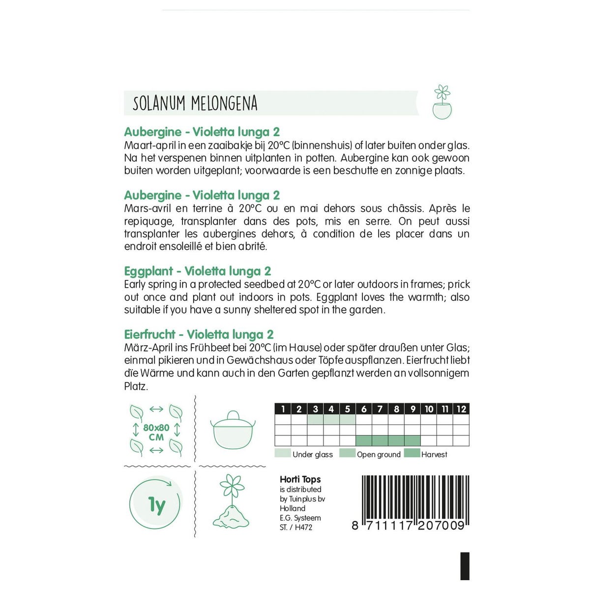 Aubergine violetta lunga 2 Aubergine violetta lunga 2