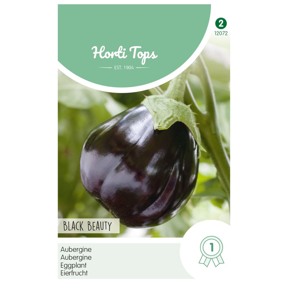 Aubergine Black Beauty Aubergine Black Beauty