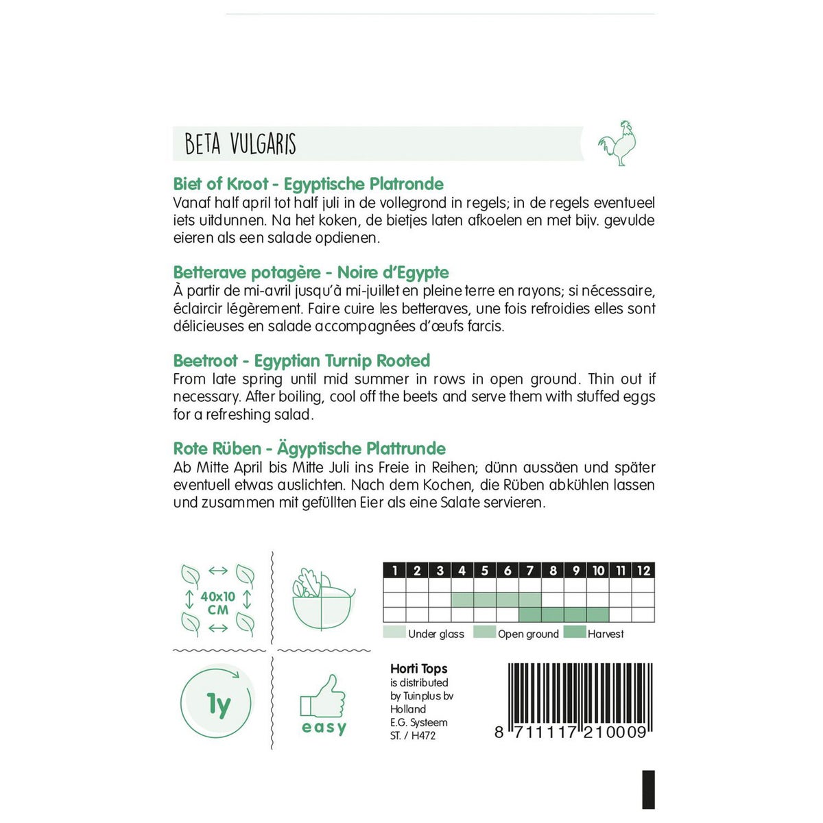 Bieten Egyptische platronde Bieten Egyptische platronde