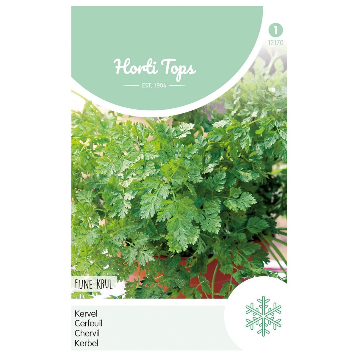 Kervel fijne krul Kervel fijne krul