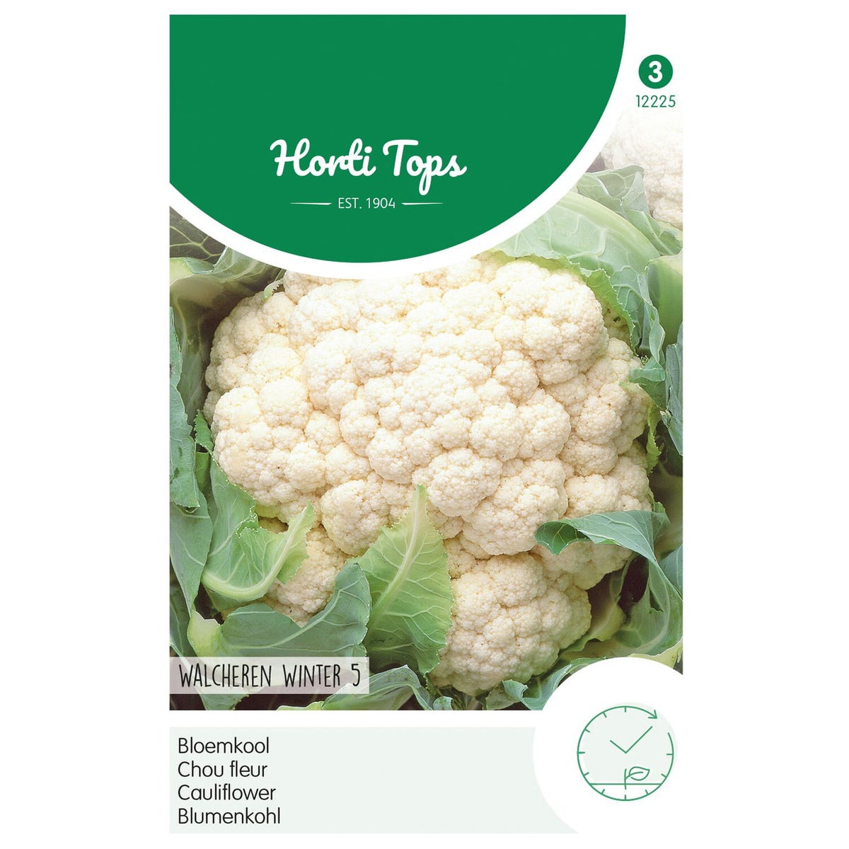 Bloemkool walcheren winter 5 Bloemkool walcheren winter 5