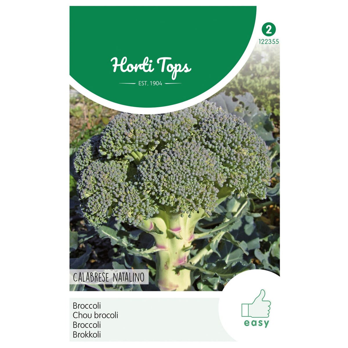 Broccoli calabria natalino Broccoli calabria natalino