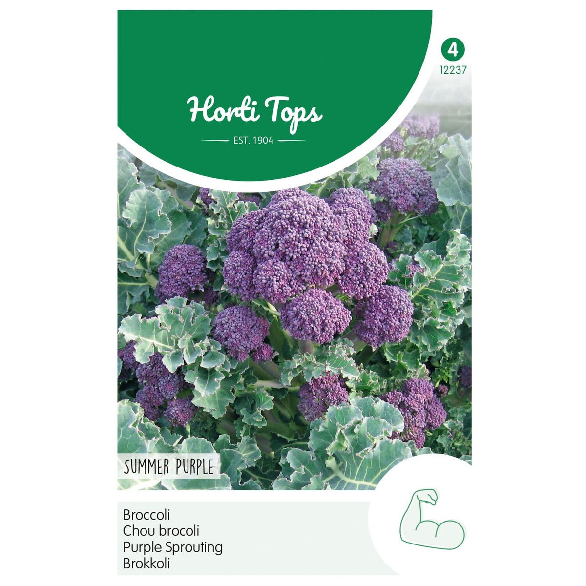 Broccoli Summer Purple Broccoli Summer Purple
