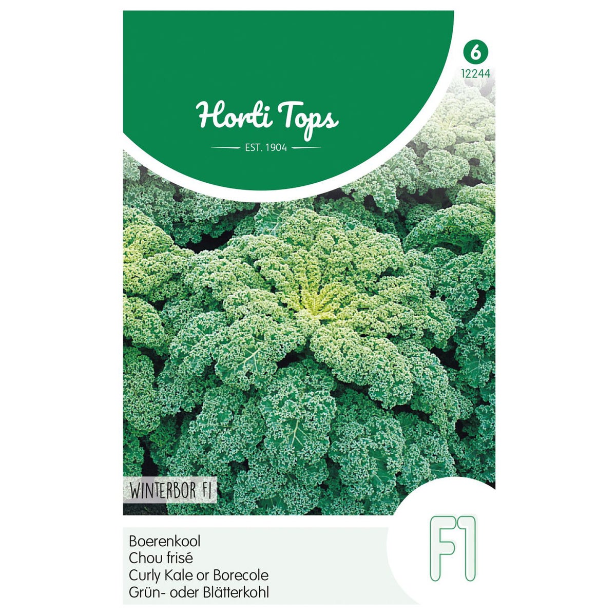 Boerenkool winterbor F1 Boerenkool winterbor F1