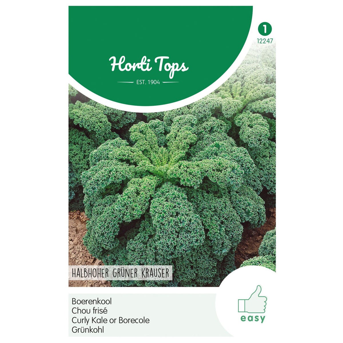 Boerenkool middelhoge fijne krul Boerenkool middelhoge fijne krul