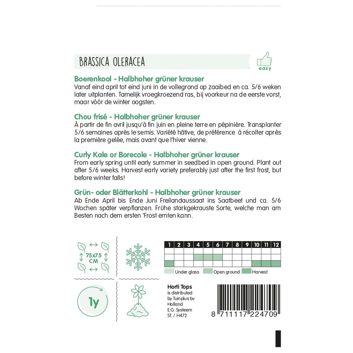 Boerenkool middelhoge fijne krul Boerenkool middelhoge fijne krul