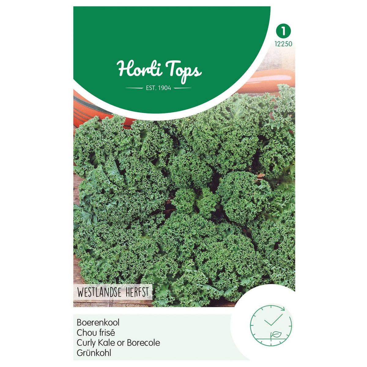 Boerenkool Westlands Herfst laat type Boerenkool Westlands Herfst laat type