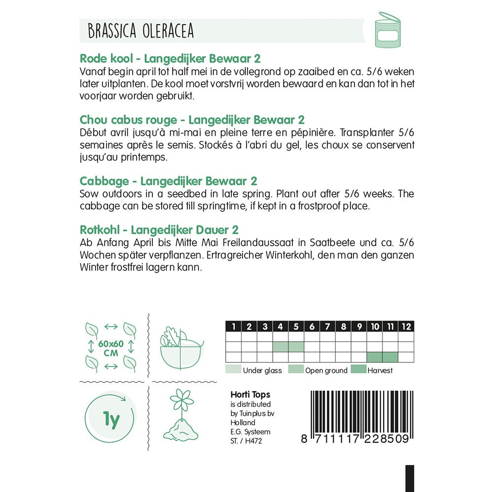 Rodekool langedijker bewaar 2 zaad Rodekool langedijker bewaar 2 zaad