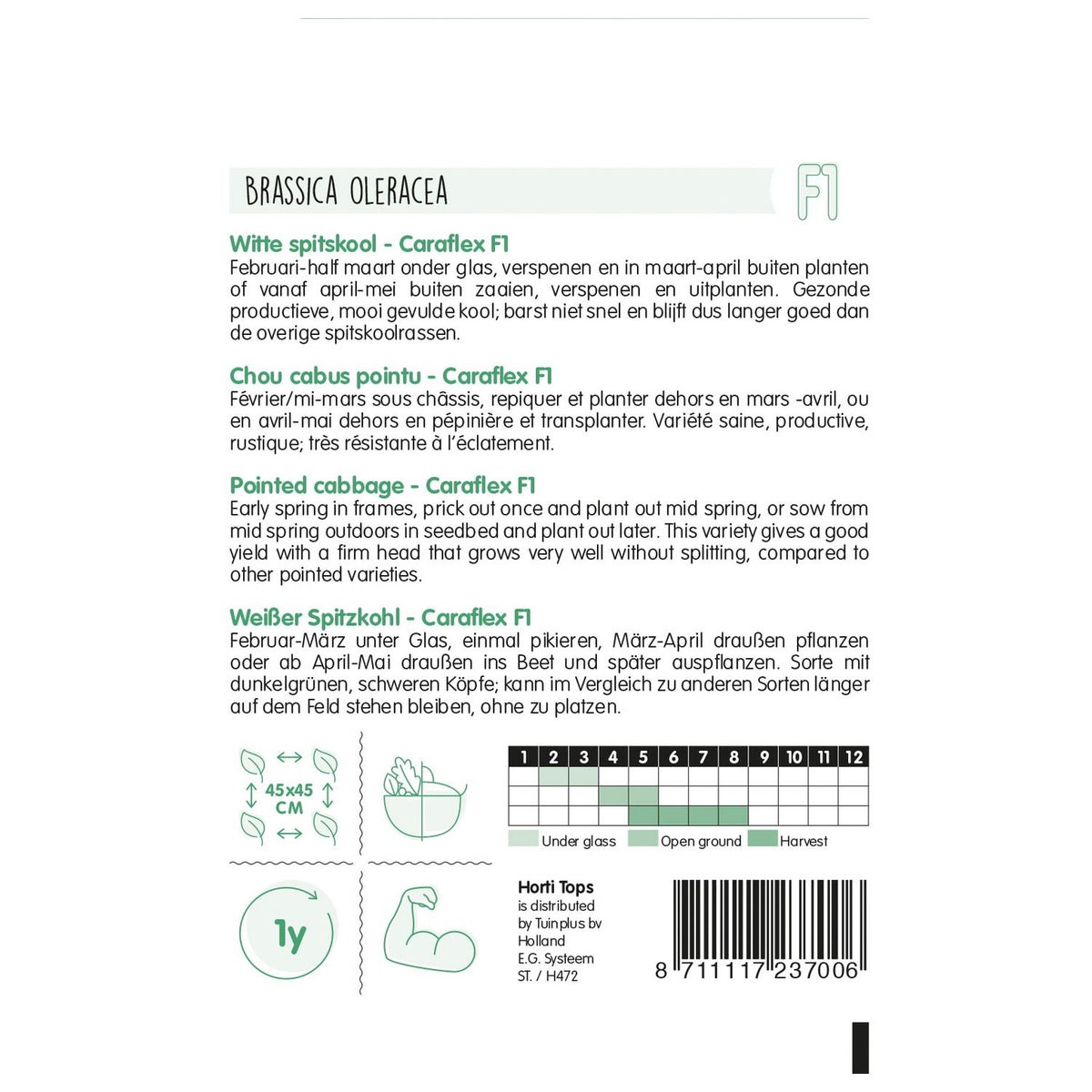 Wittekool caraflex F1 zaad Wittekool caraflex F1 zaad