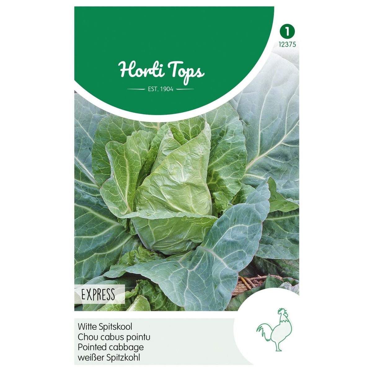 Witte spitskool express zaad Witte spitskool express zaad