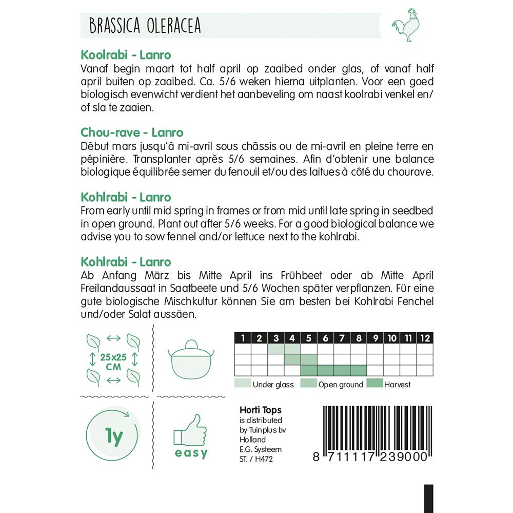 Koolrabi Lanro zaad Koolrabi Lanro zaad