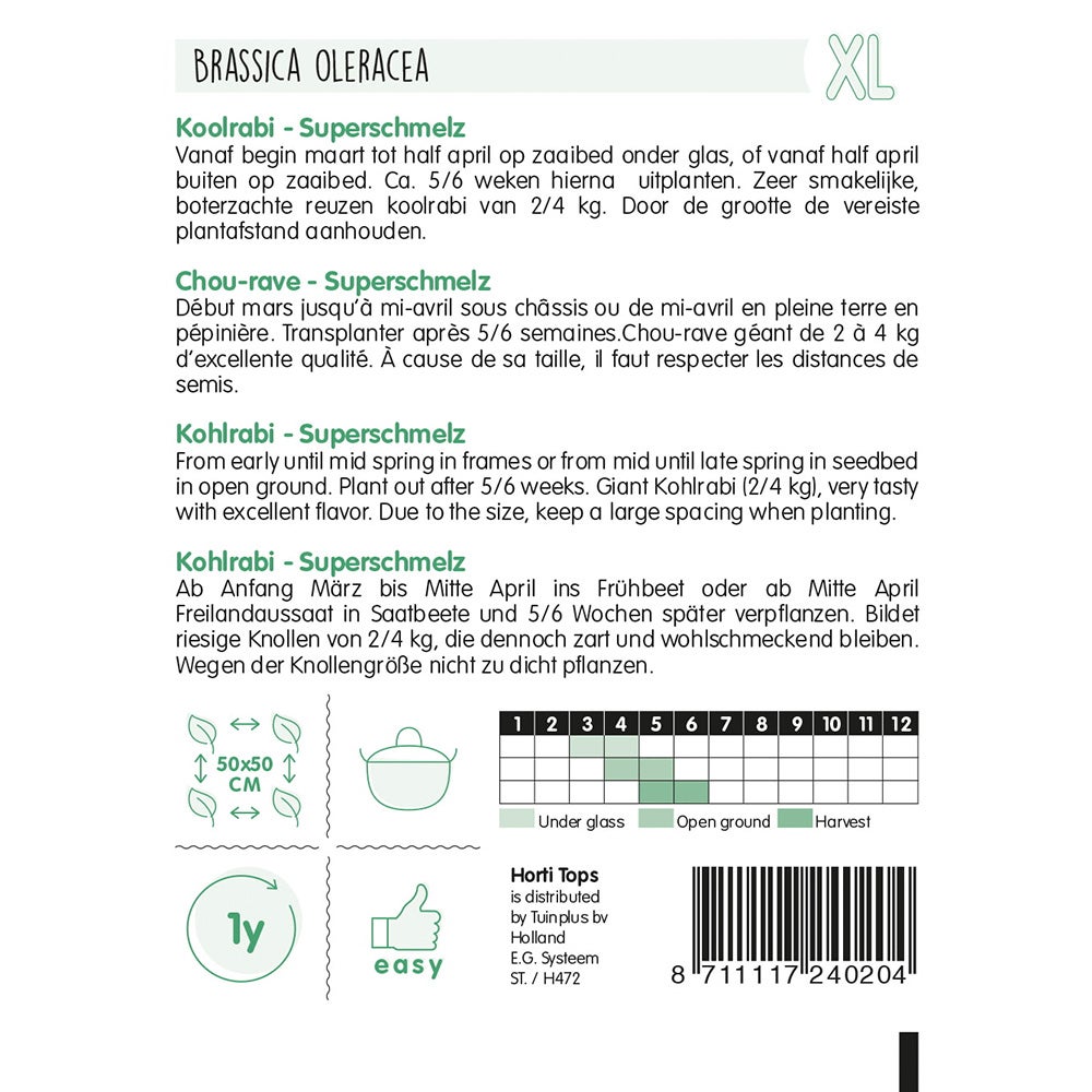 Koolrabi Superschmelz zaad Koolrabi Superschmelz zaad