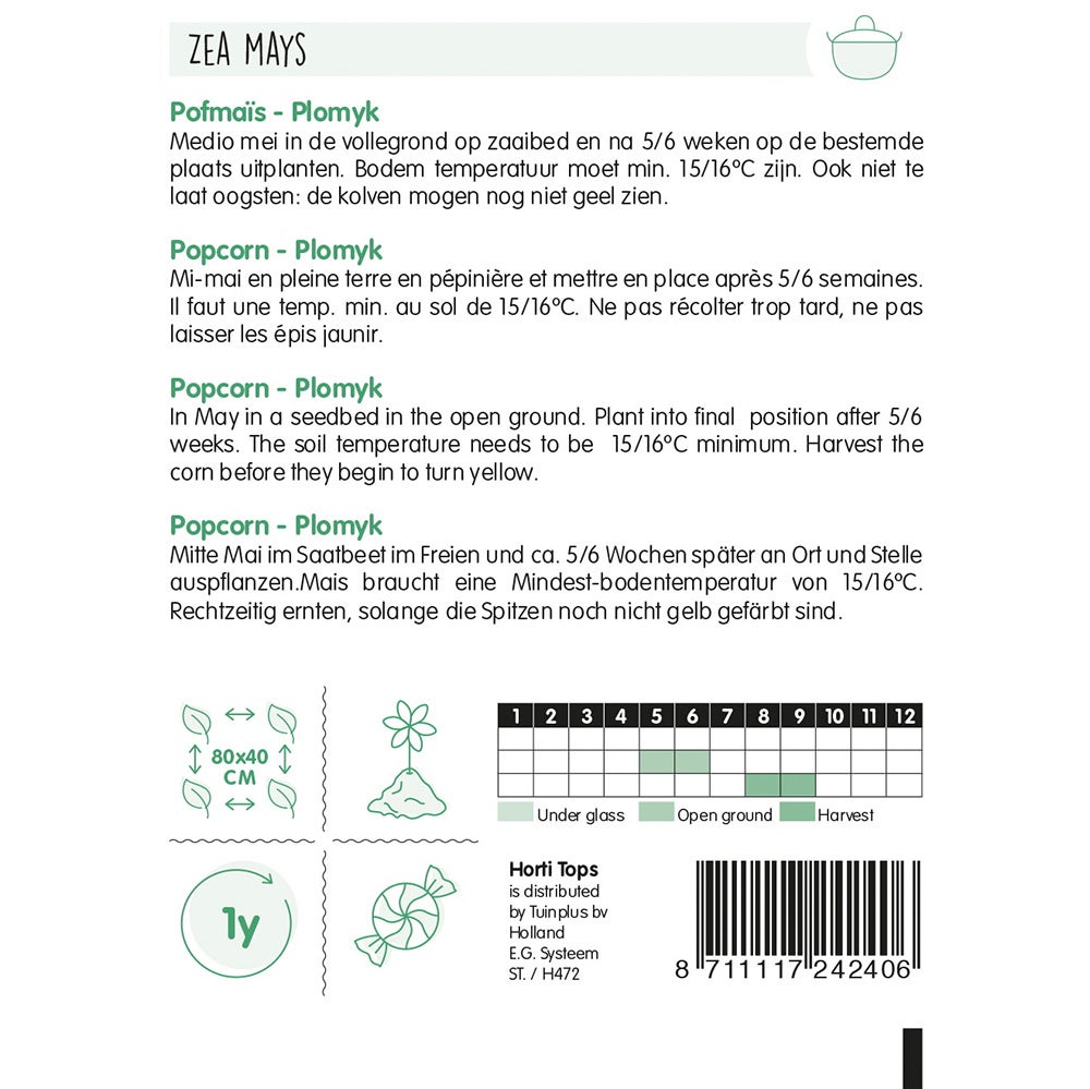 Pofmais Plomyk popcorn zaad Pofmais Plomyk popcorn zaad