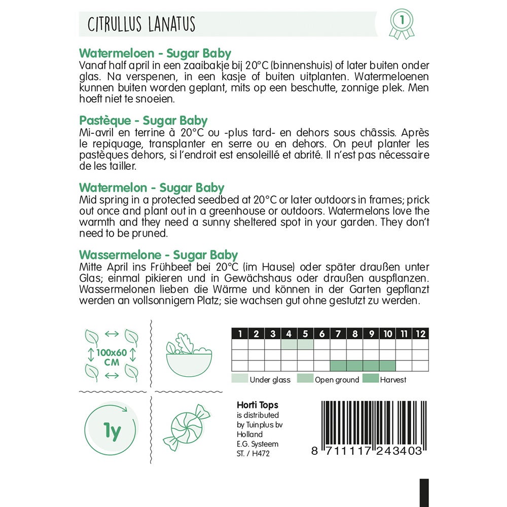 Watermeloenen sugar baby zaad Watermeloenen sugar baby zaad