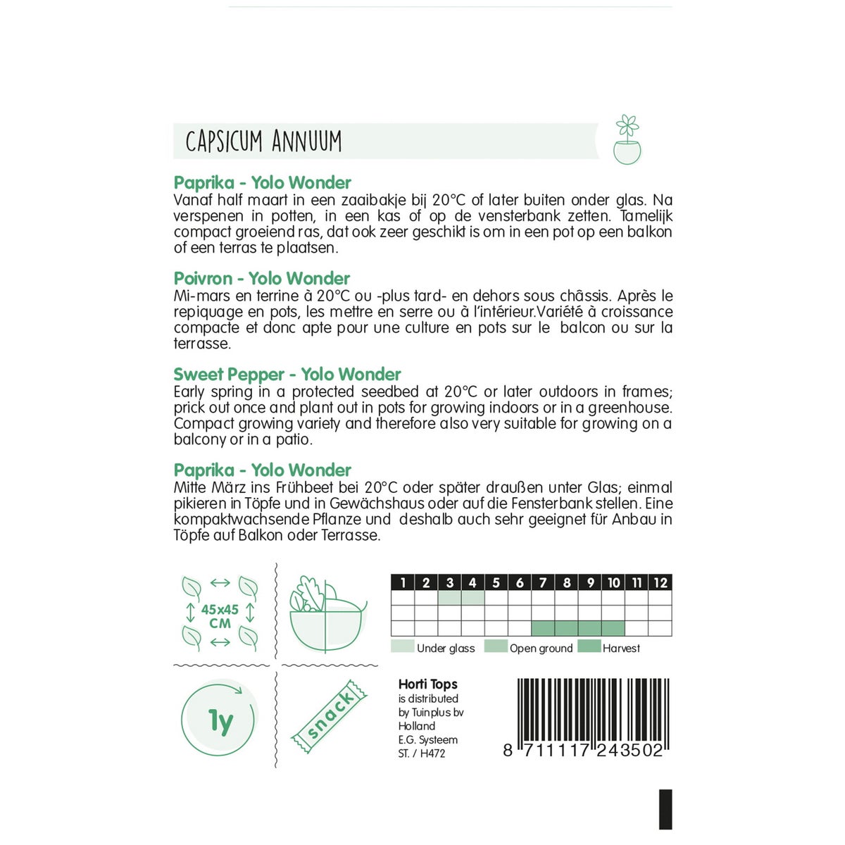 Paprika Yolo wonder Paprika Yolo wonder