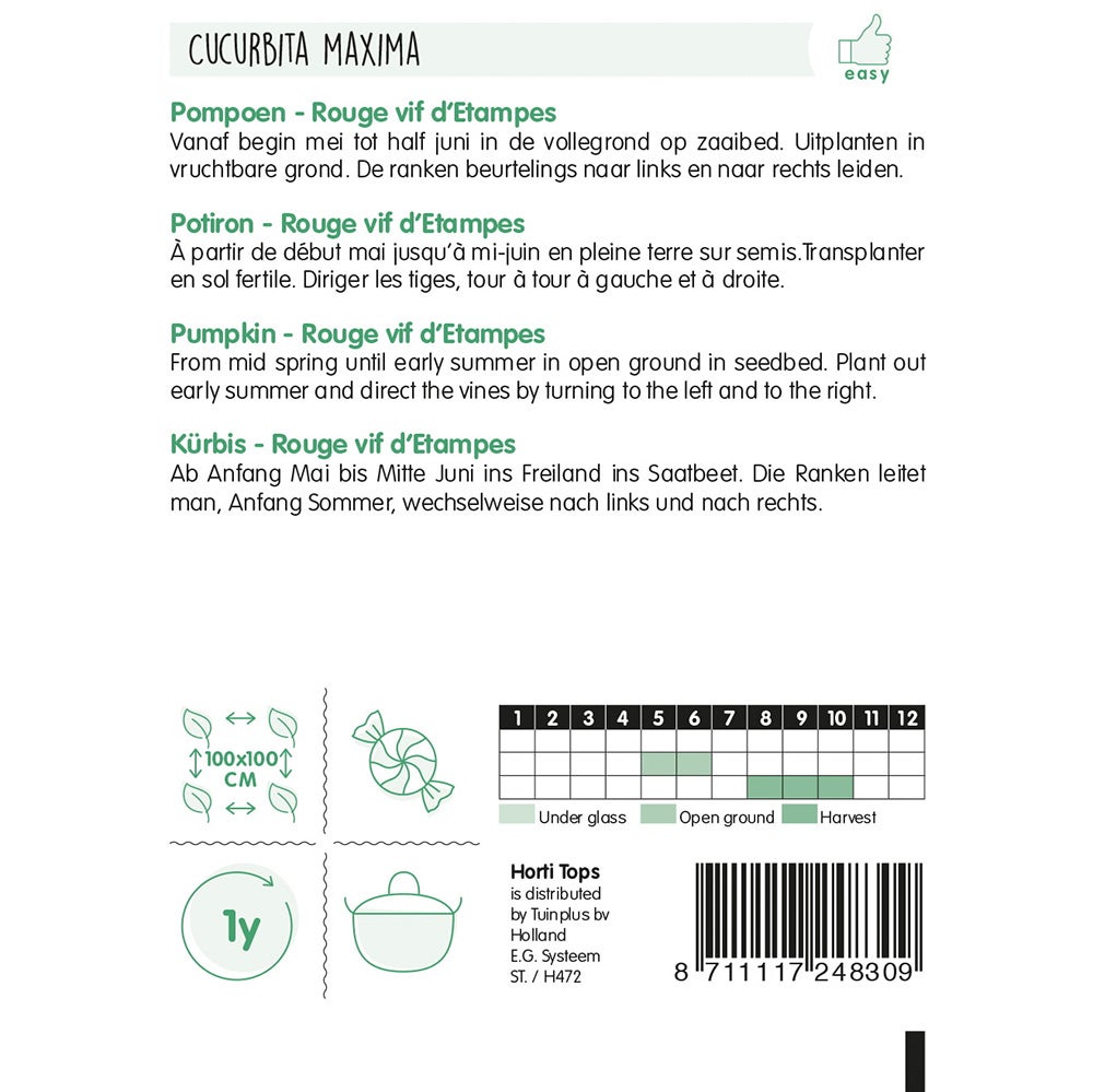 Pompoen rouge vif d'etampes zaad Pompoen rouge vif d'etampes zaad