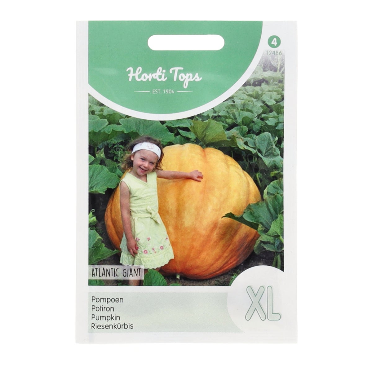 Pompoen Atlantic Giant zaad Pompoen Atlantic Giant zaad