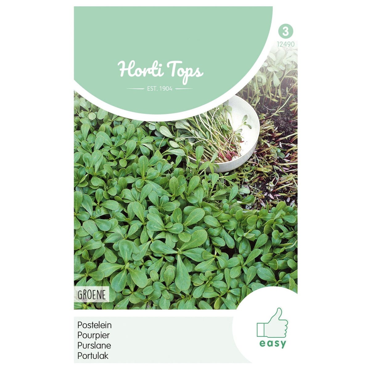 Postelein groene, zaad Postelein groene, zaad