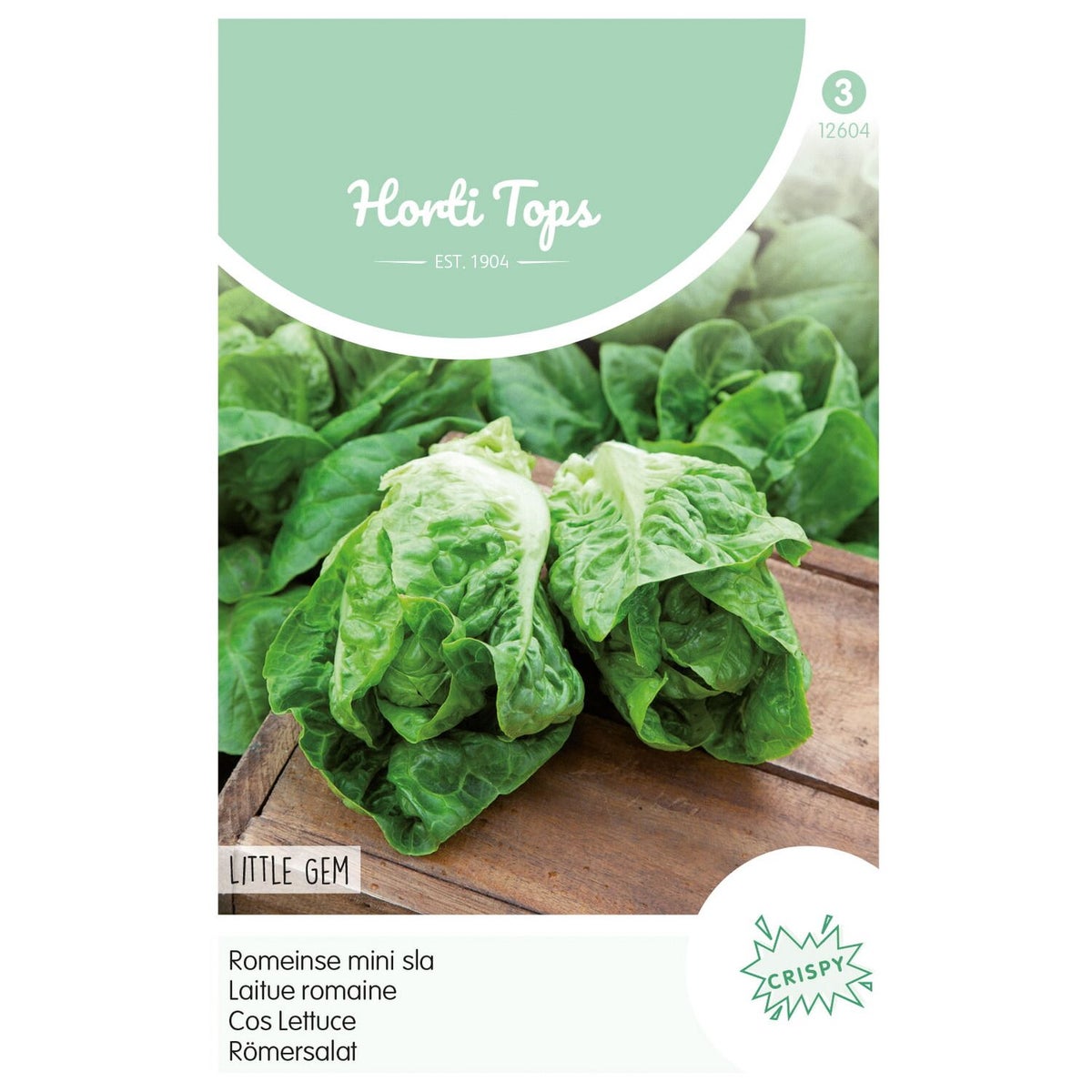 Romeinse mini sla little gem Romeinse mini sla little gem