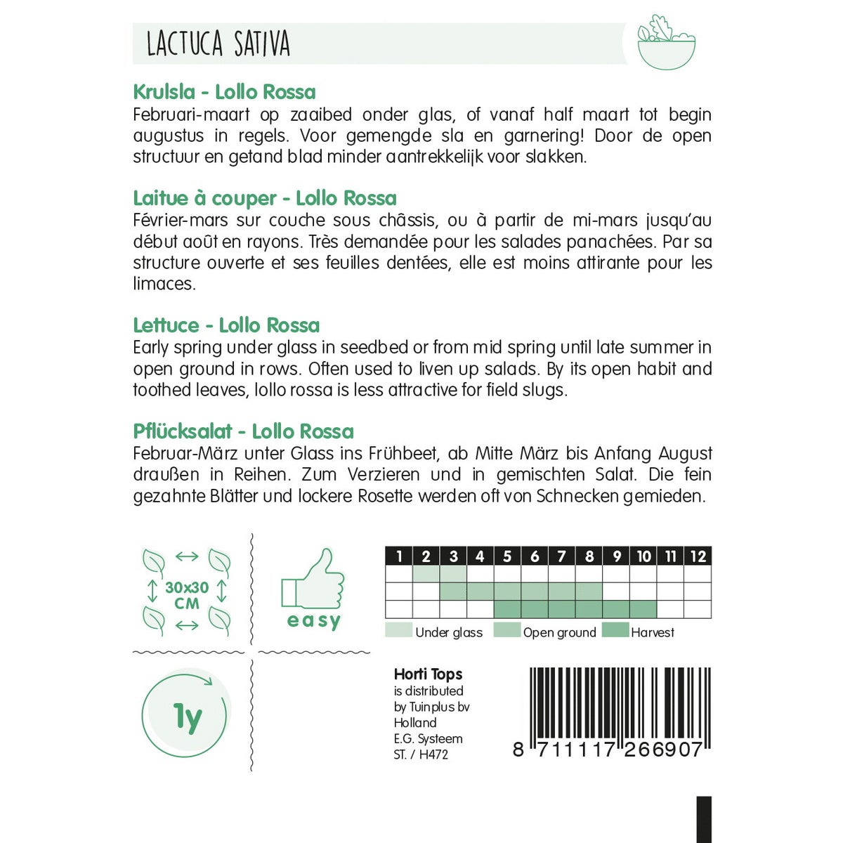 Krulsla Lollo Rossa Krulsla Lollo Rossa