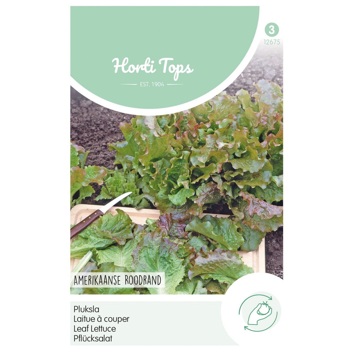 Amerikaanse roodrand pluksla Amerikaanse roodrand pluksla