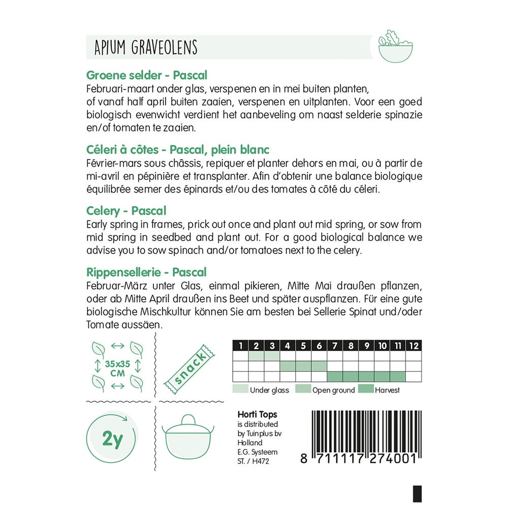 Groene selder Pascal Groene selder Pascal