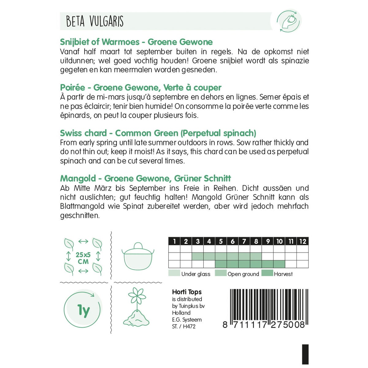 Snijbiet groene gewone Snijbiet groene gewone