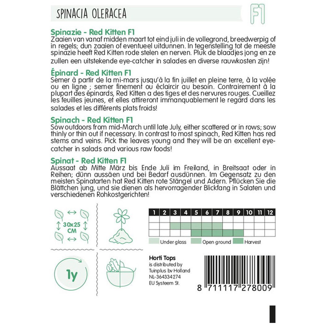 Spinazie Red Kitten F1 Spinazie Red Kitten F1