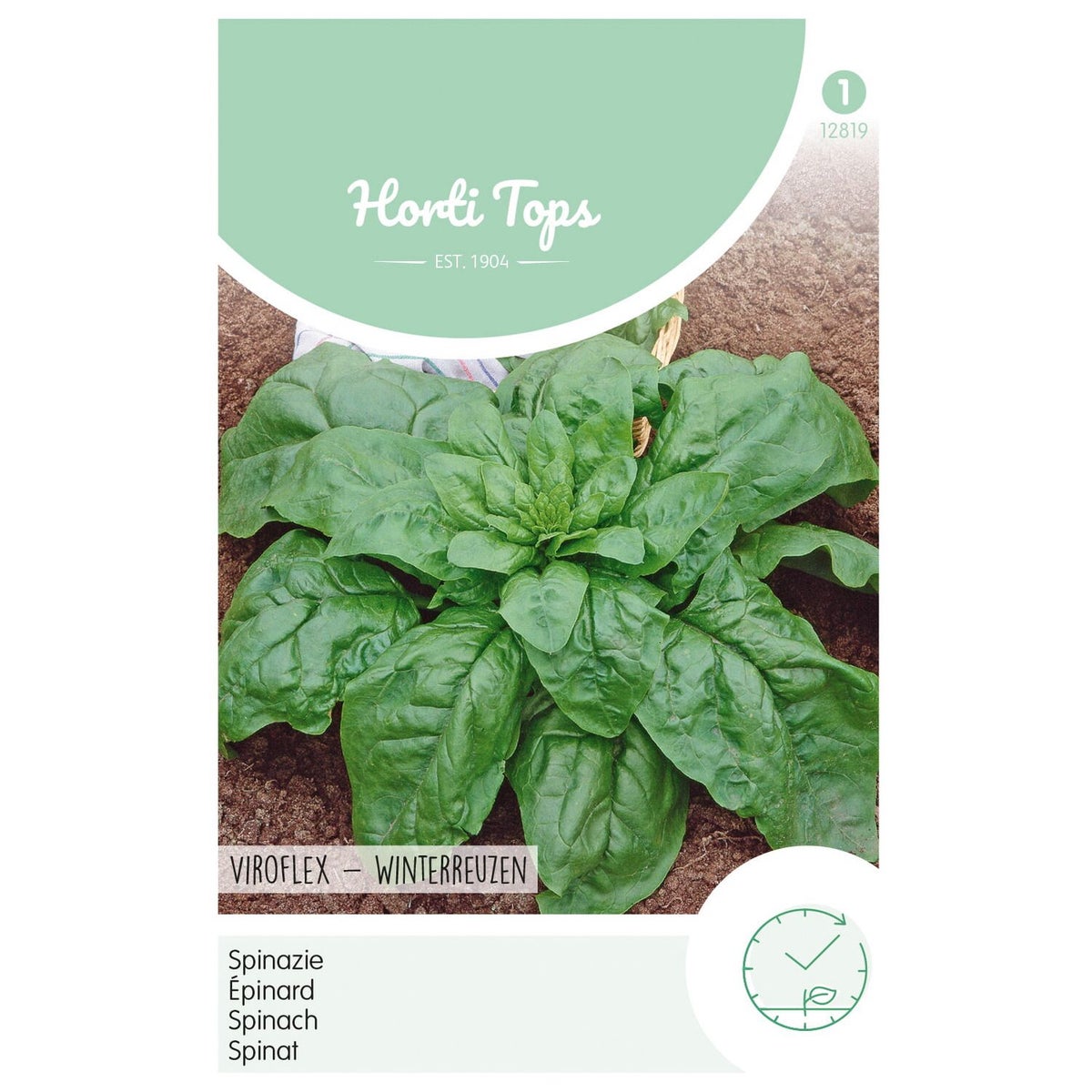 Spinazie Winterreuzen Spinazie Winterreuzen