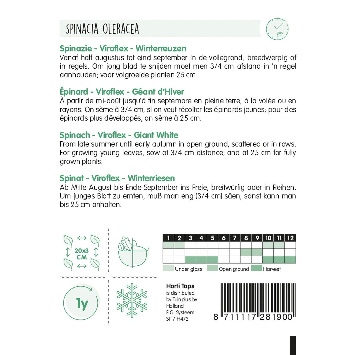 Spinazie Winterreuzen Spinazie Winterreuzen