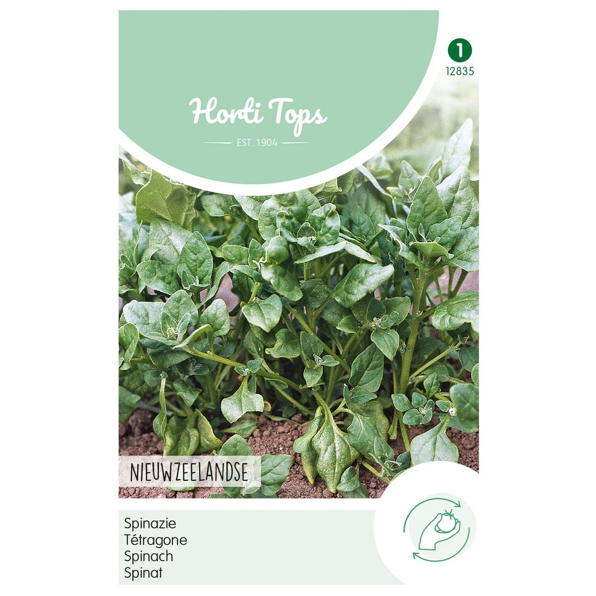 Nieuwzeelandse Spinazie Nieuwzeelandse Spinazie