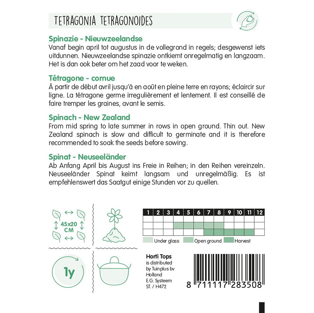 Nieuwzeelandse Spinazie Nieuwzeelandse Spinazie
