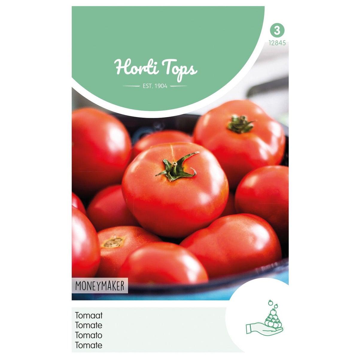 Tomaat Moneymaker Tomaat Moneymaker