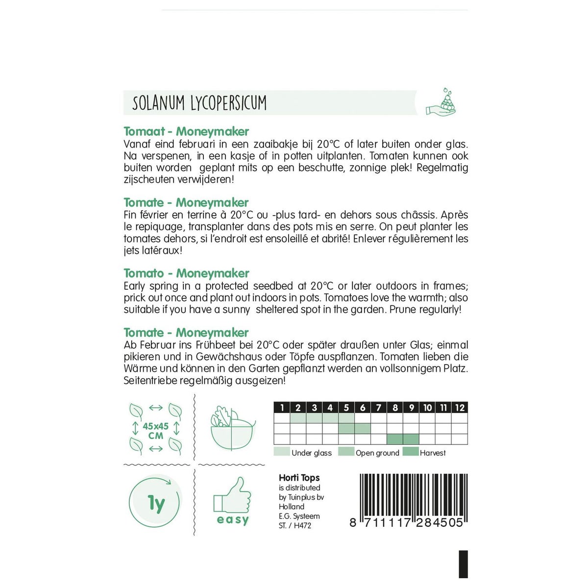 Tomaat Moneymaker Tomaat Moneymaker