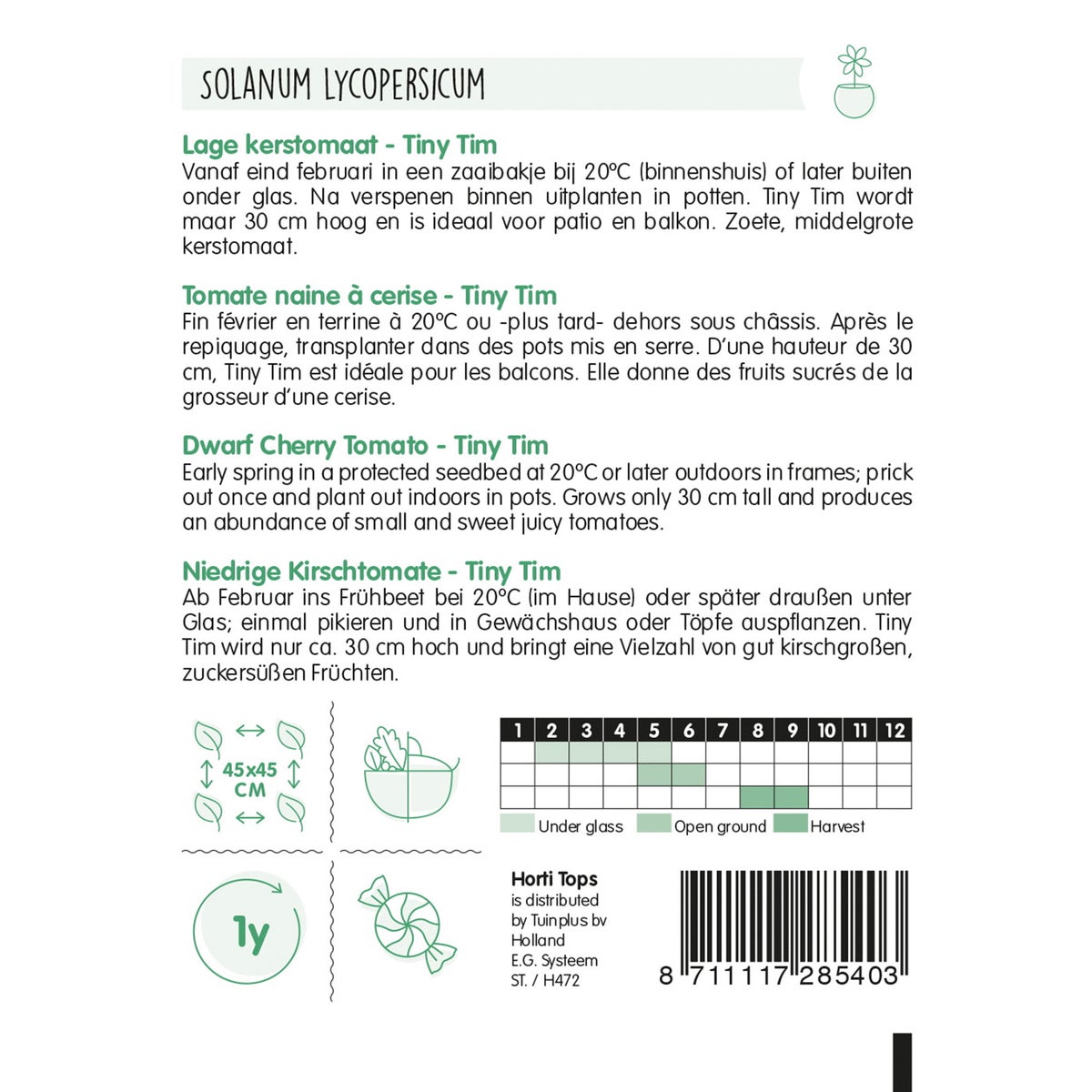 Kerstomaat Tiny Tim Kerstomaat Tiny Tim