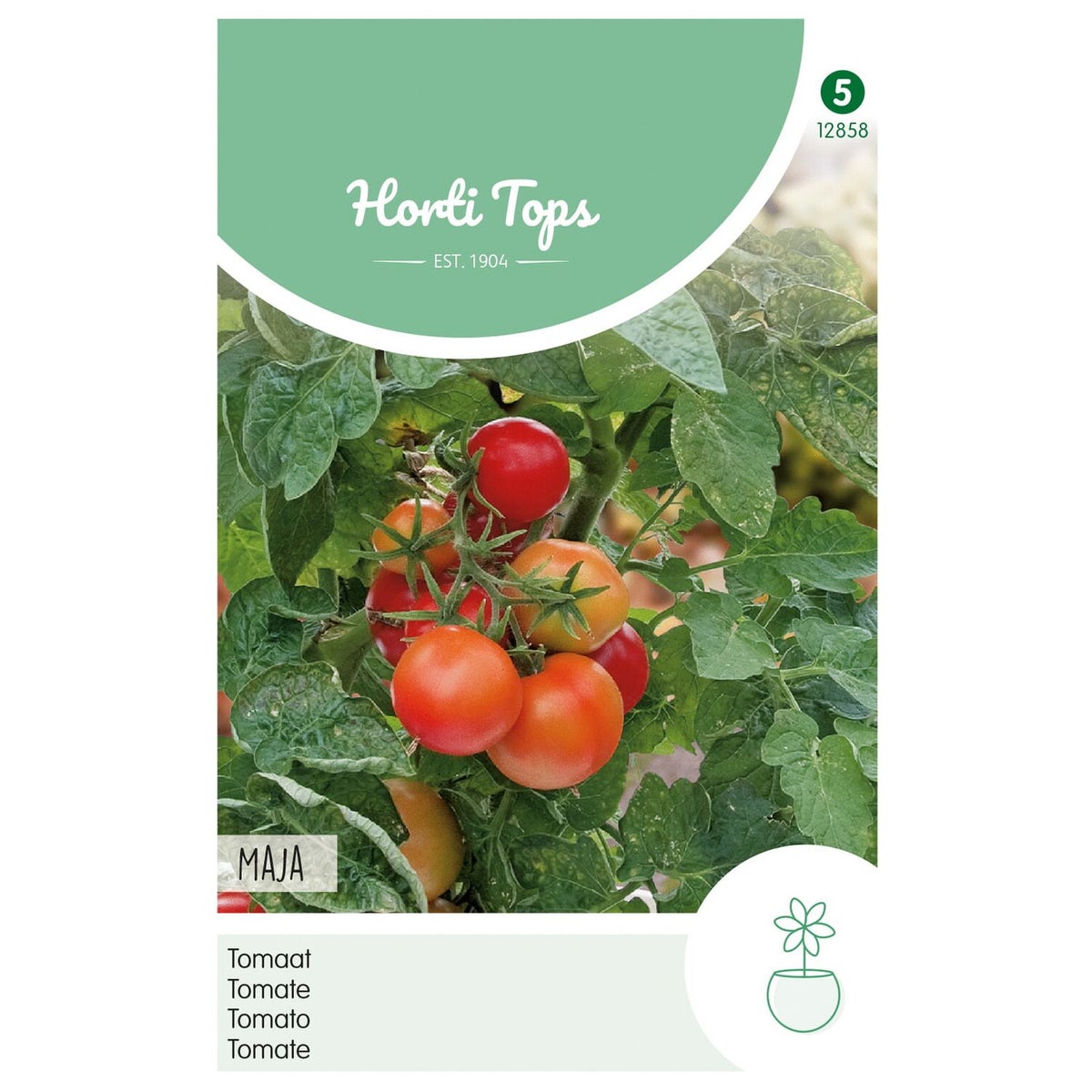 Tomaat Maja Tomaat Maja