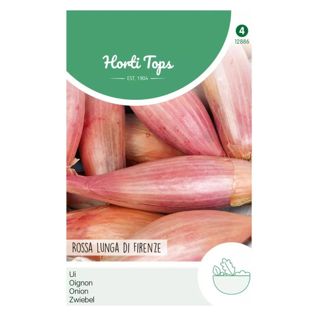 Uien Rossa Lunga di Firenze Uien Rossa Lunga di Firenze