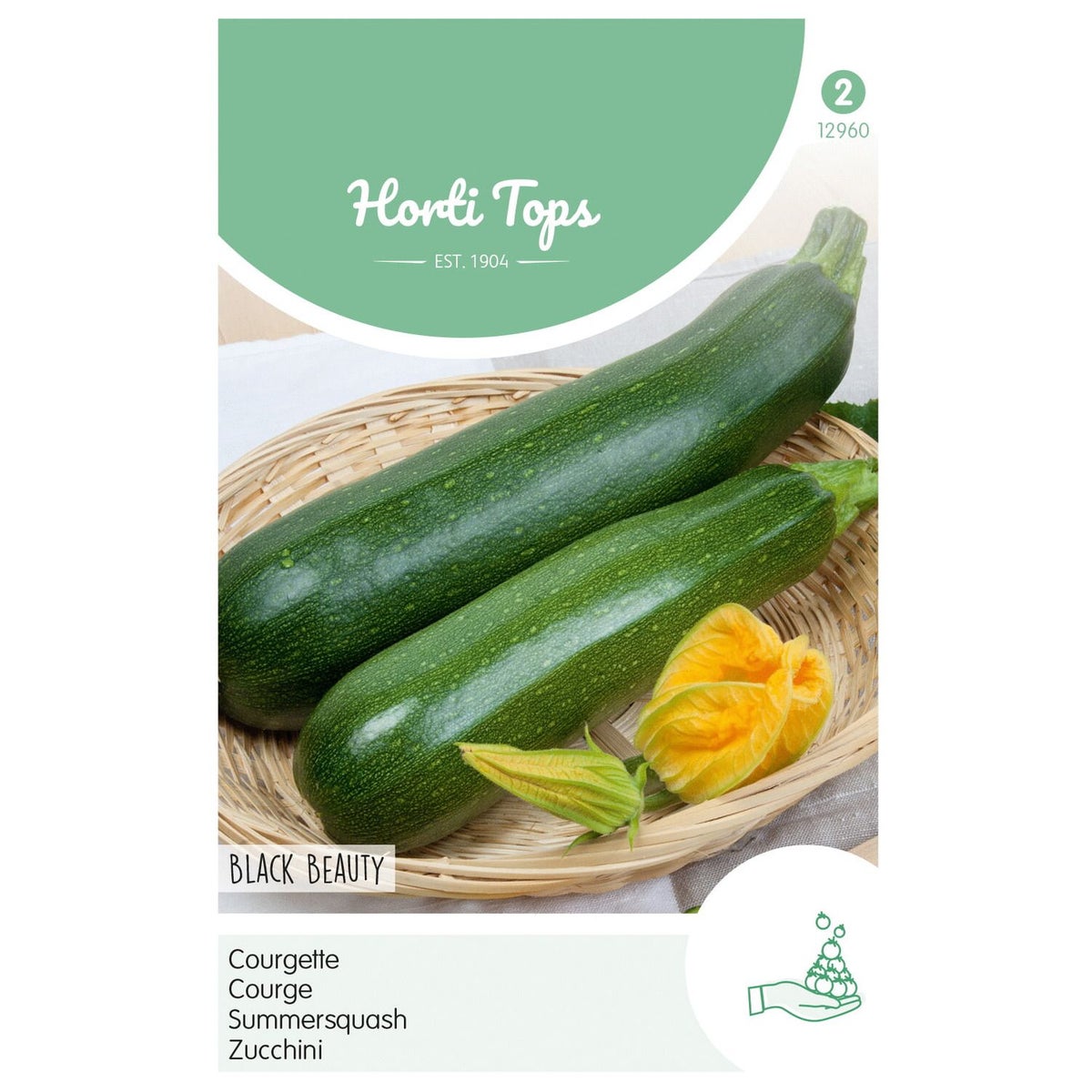 Courgette Black Beauty Courgette Black Beauty