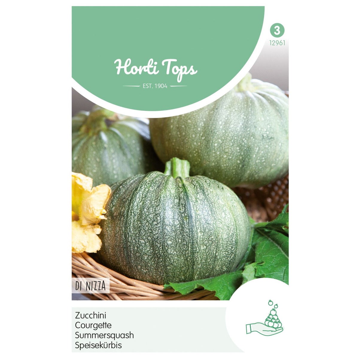 Courgette Di Nizza Courgette Di Nizza