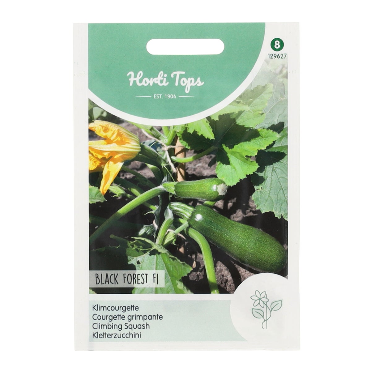 Courgette Black Forest klimmend Courgette Black Forest klimmend