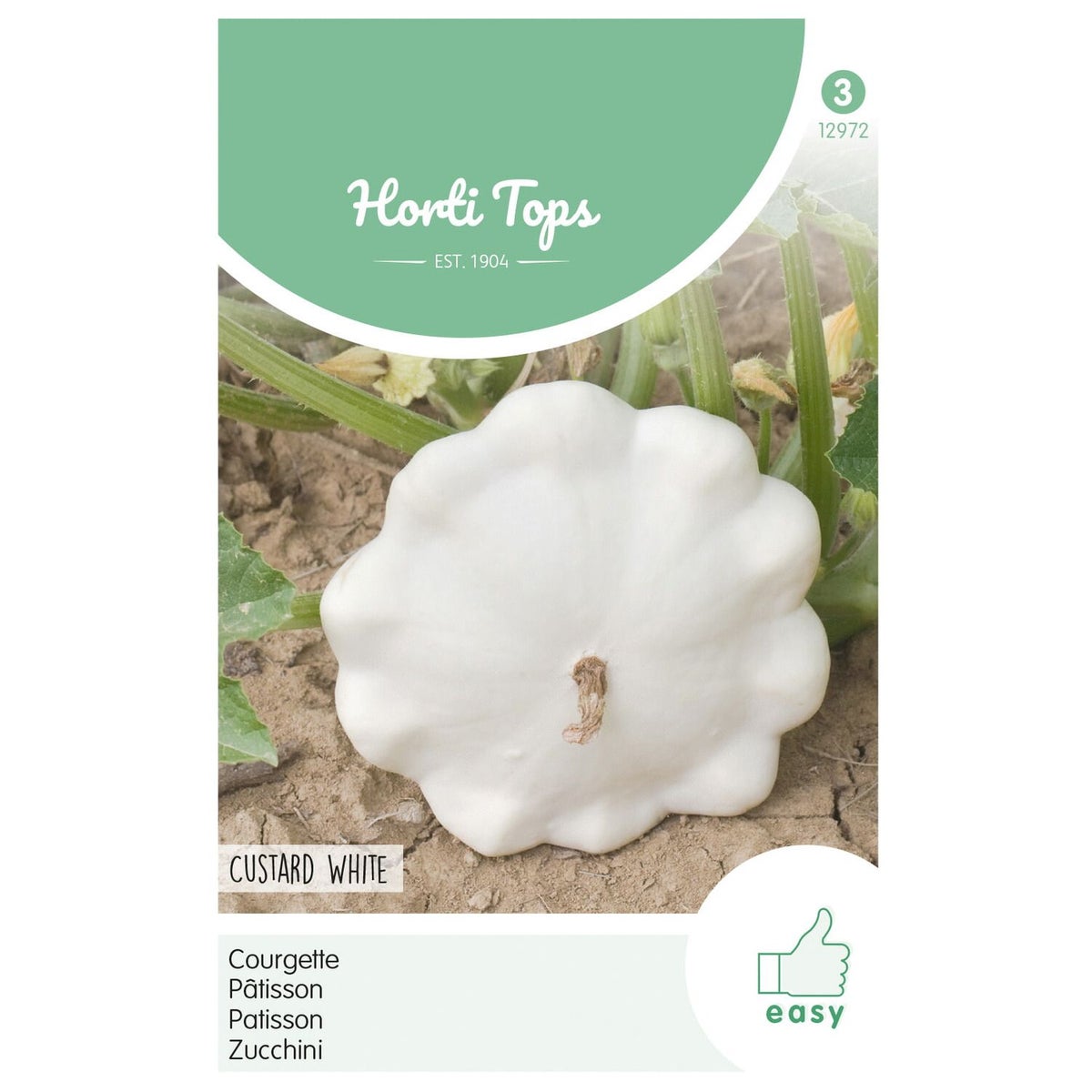 Courgette Custard White Courgette Custard White