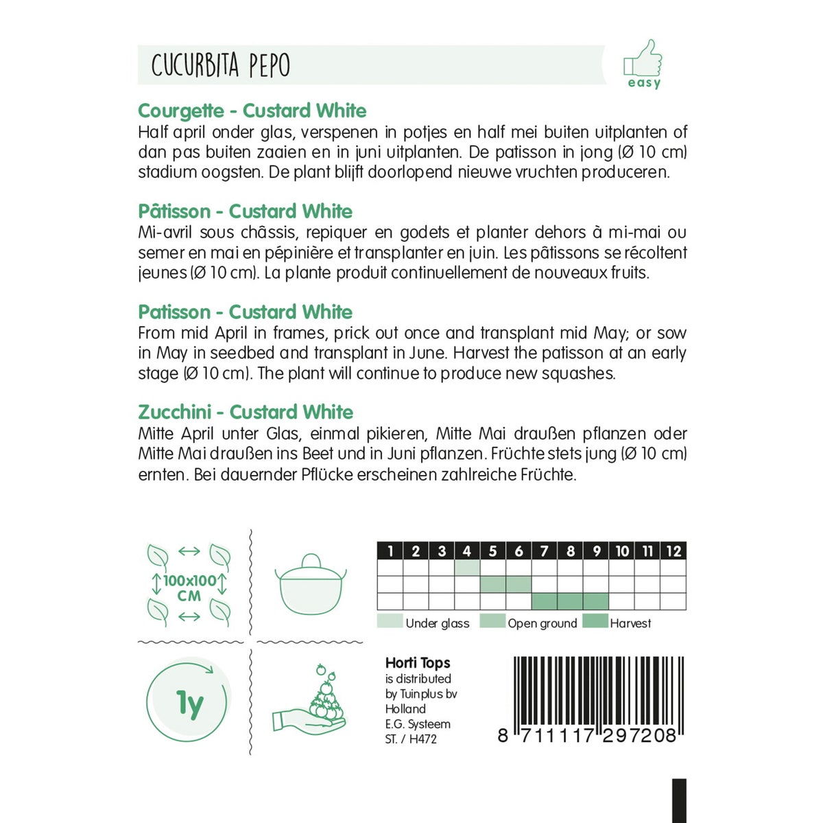 Courgette Custard White Courgette Custard White