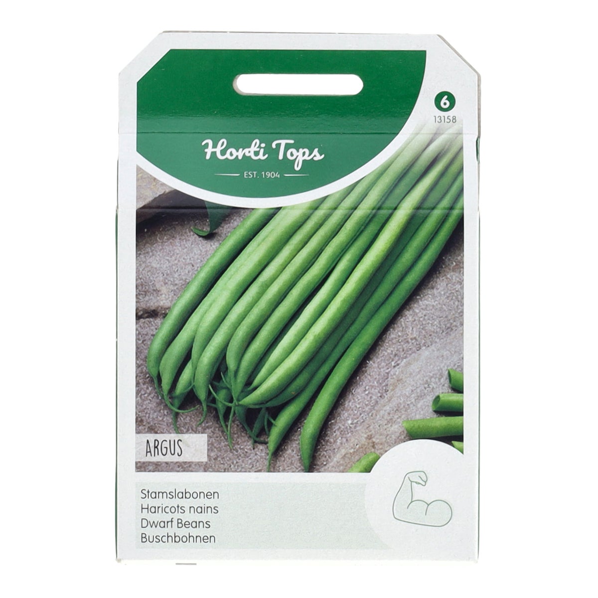 Stamslabonen Haricot vert argus Stamslabonen Haricot vert argus