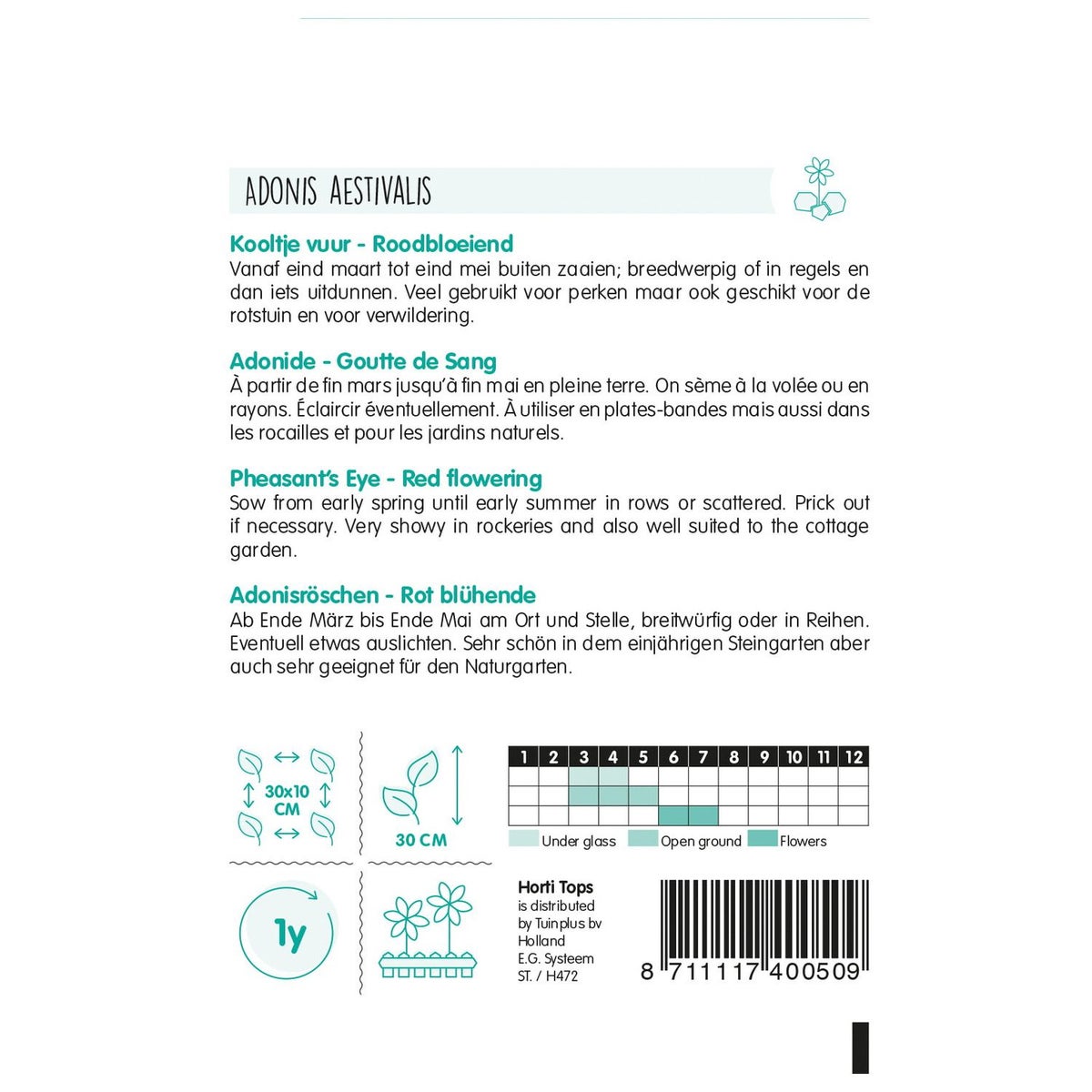 Adonis (Kooltje vuur) roodbloeiend, zaad Adonis (Kooltje vuur) roodbloeiend, zaad